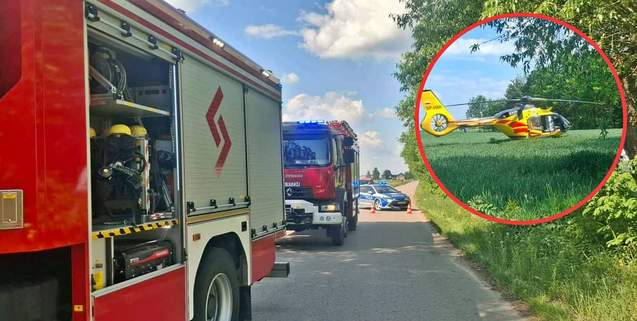 Zdjęcie