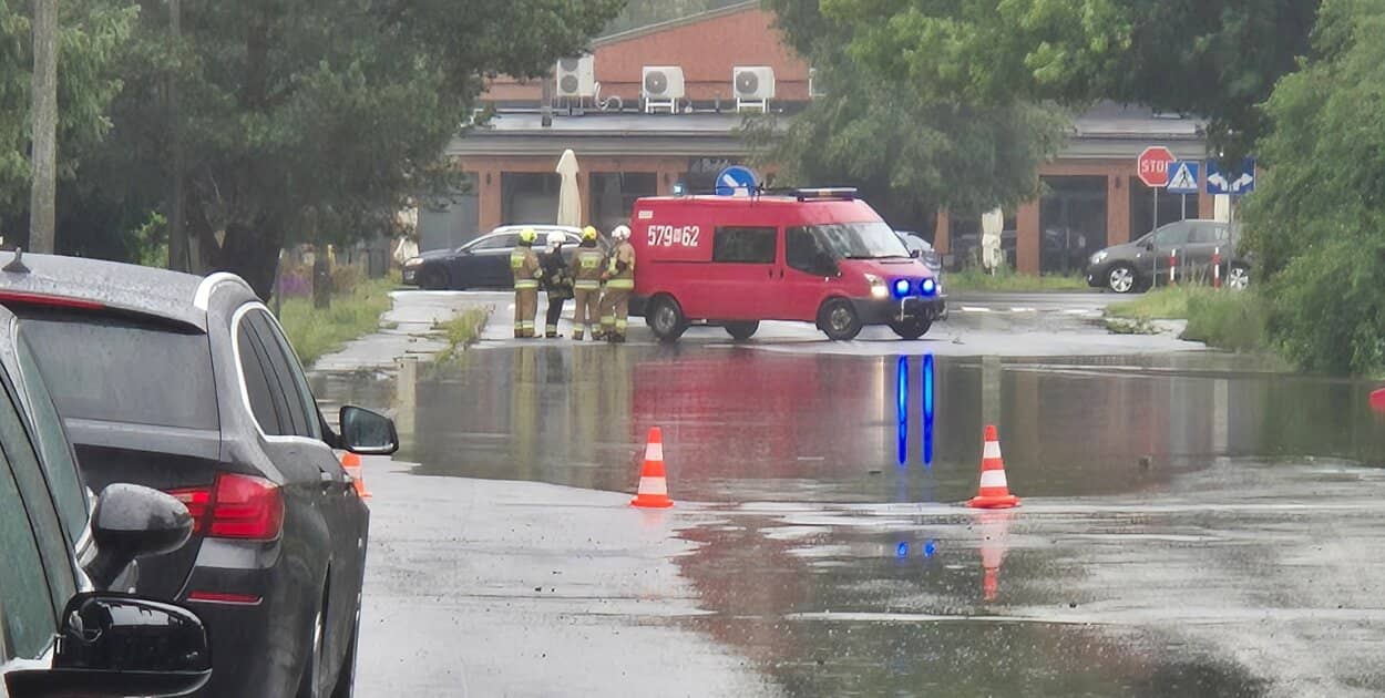 Zdjęcie