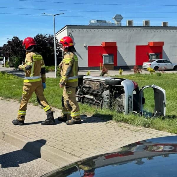 Zdjęcie