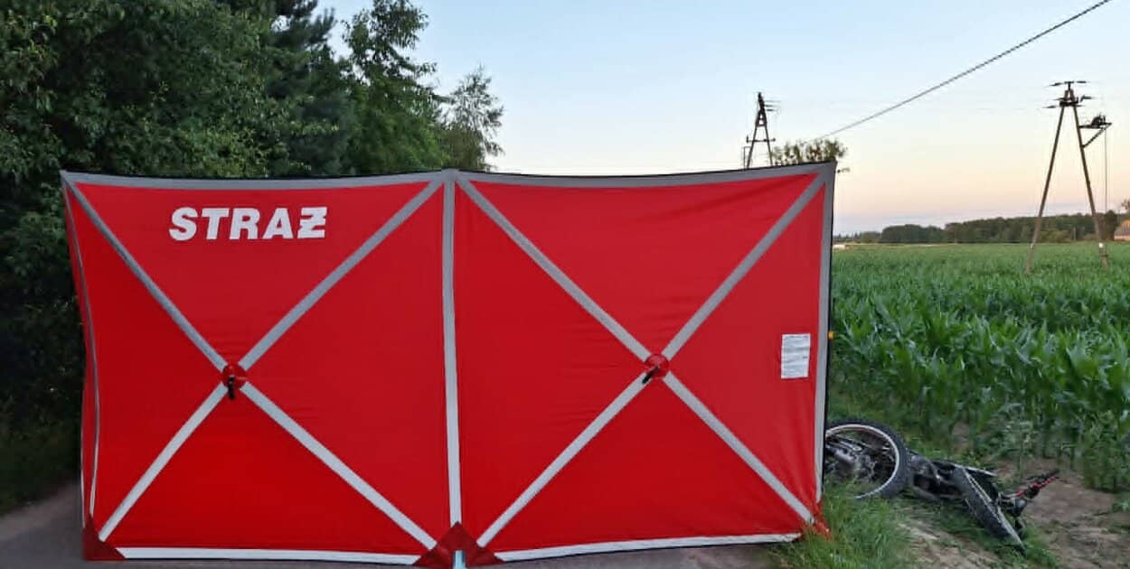 Zdjęcie