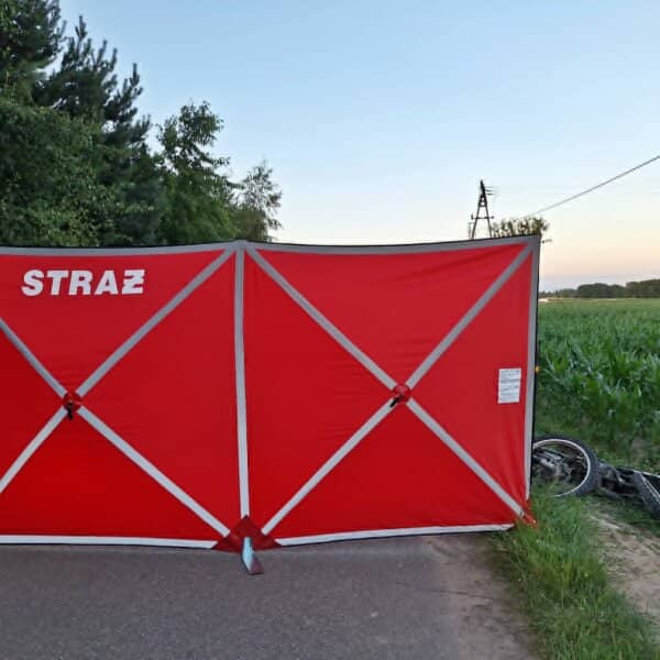 Zdjęcie