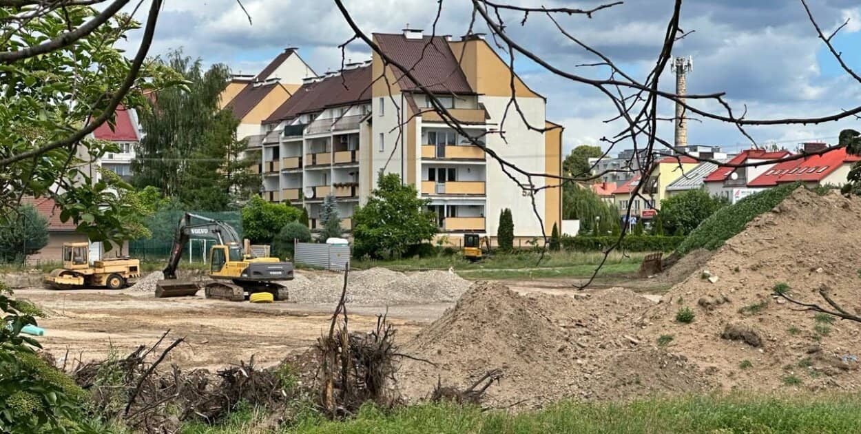 Zdjęcie