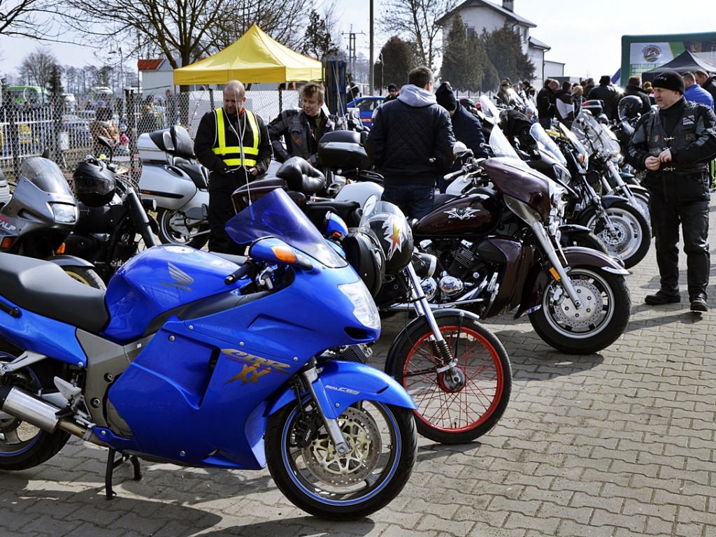 Sportowe bryki rodem z Ameryki [FOTO]