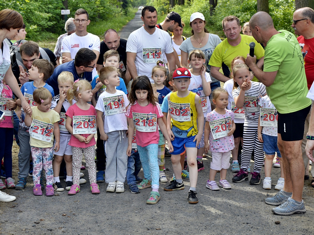 Ogrody kwitną z Nadleśnictwem Płońsk [FOTO]