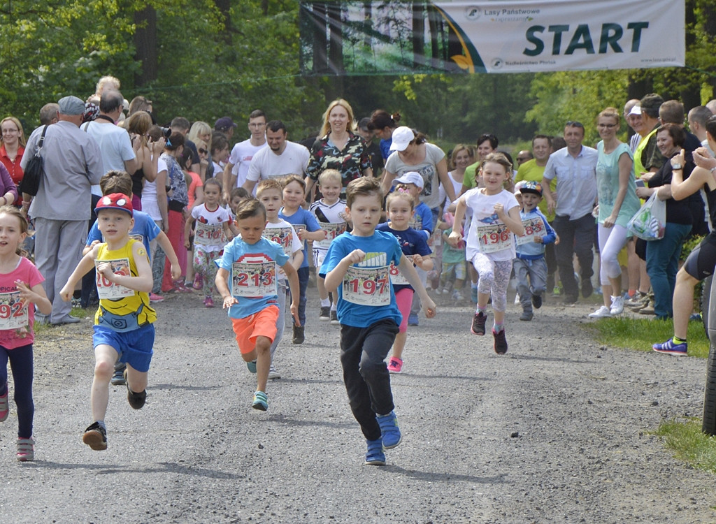 Ogrody kwitną z Nadleśnictwem Płońsk [FOTO]