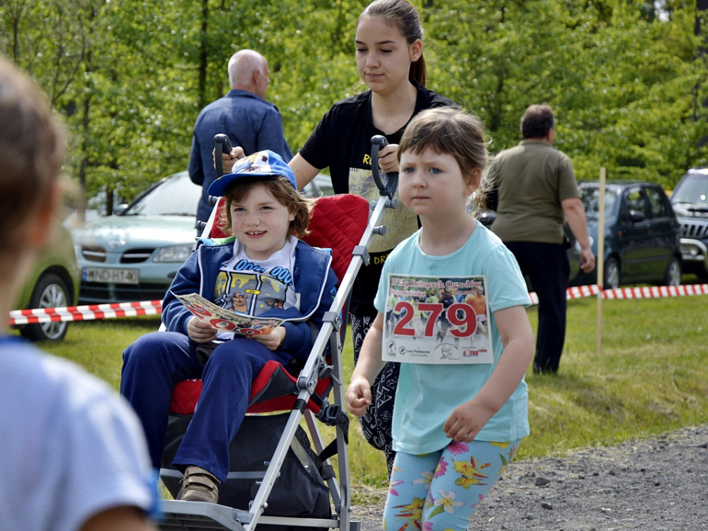 Ogrody kwitną z Nadleśnictwem Płońsk [FOTO]