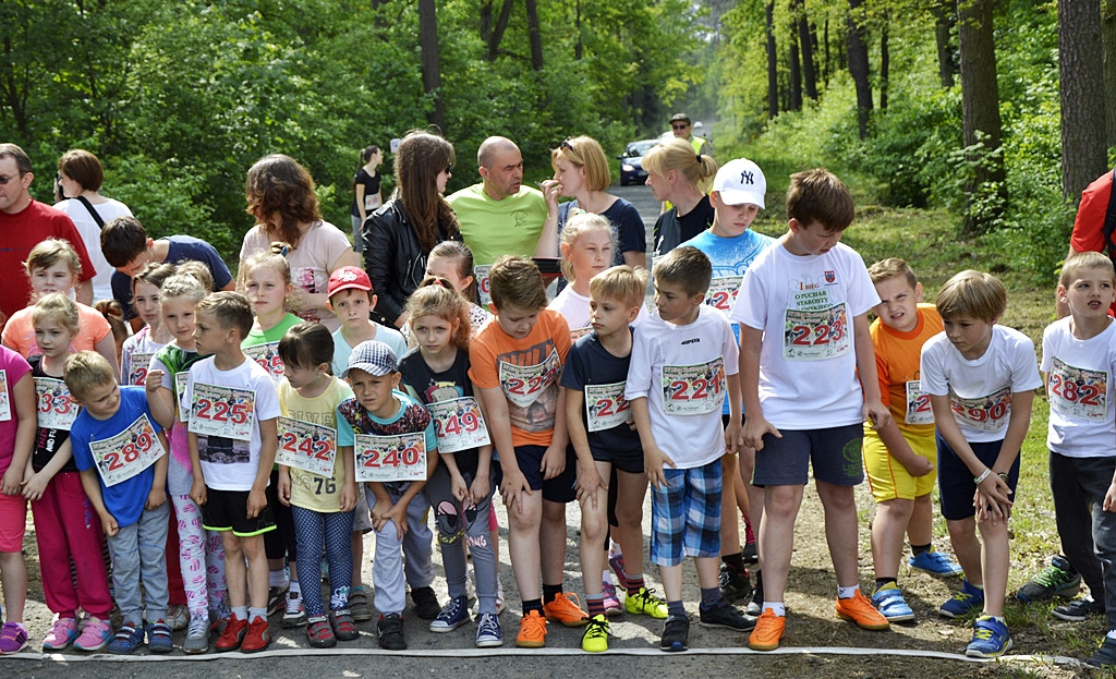 Ogrody kwitną z Nadleśnictwem Płońsk [FOTO]