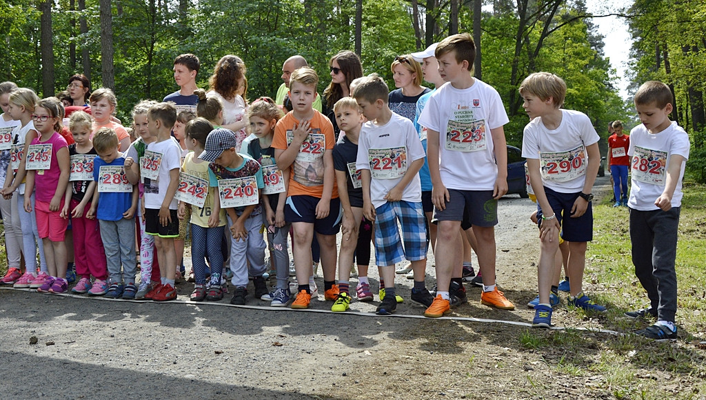 Ogrody kwitną z Nadleśnictwem Płońsk [FOTO]