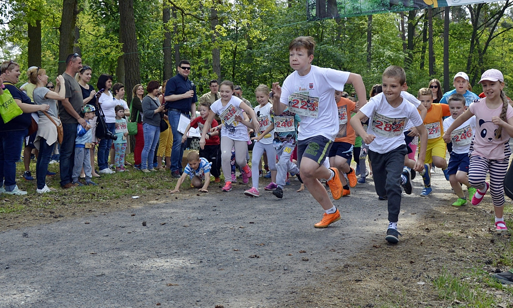 Ogrody kwitną z Nadleśnictwem Płońsk [FOTO]