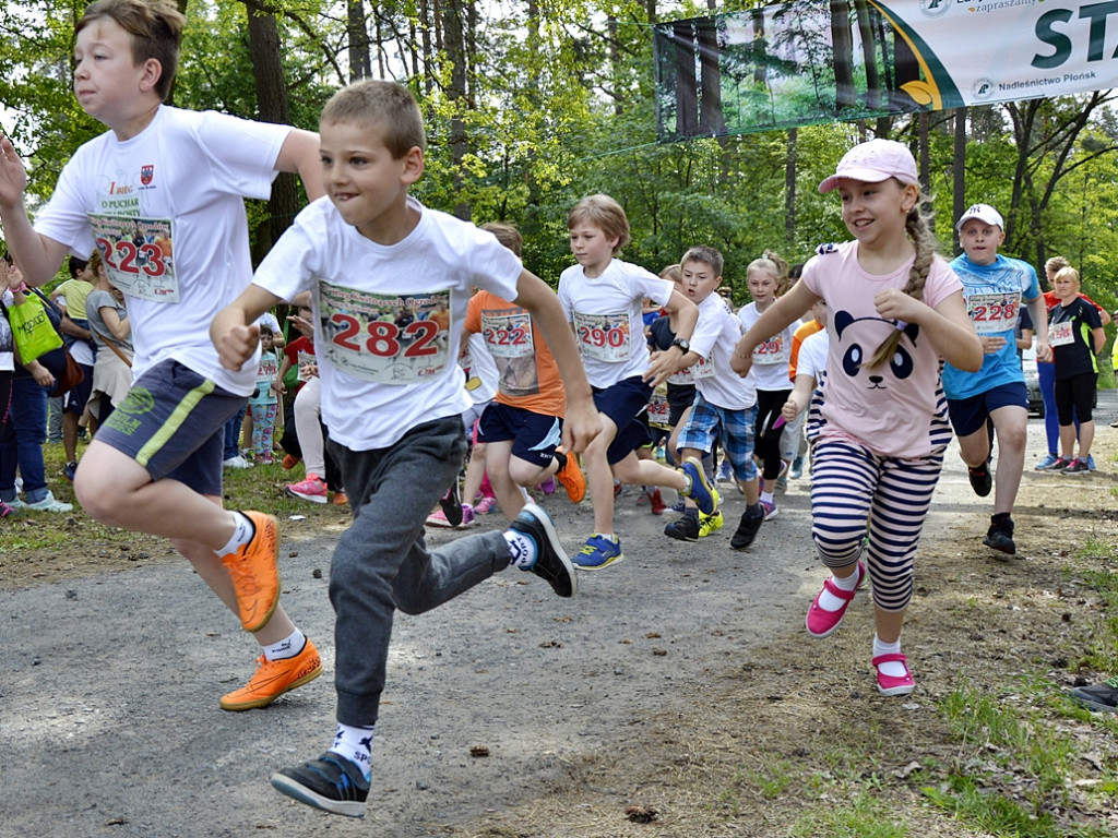 Ogrody kwitną z Nadleśnictwem Płońsk [FOTO]