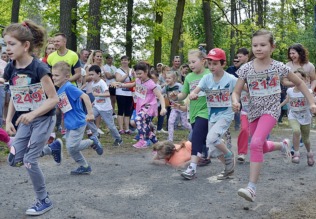 Ogrody kwitną z Nadleśnictwem Płońsk [FOTO]