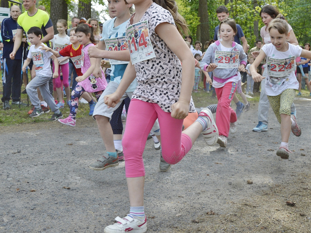Ogrody kwitną z Nadleśnictwem Płońsk [FOTO]
