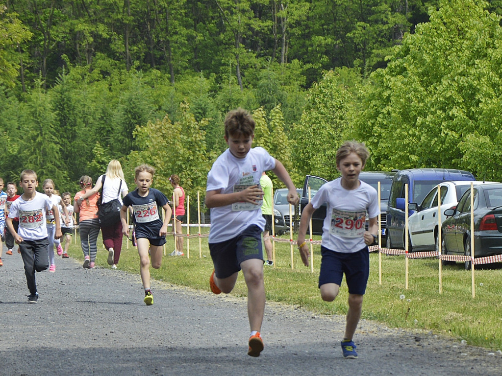 Ogrody kwitną z Nadleśnictwem Płońsk [FOTO]
