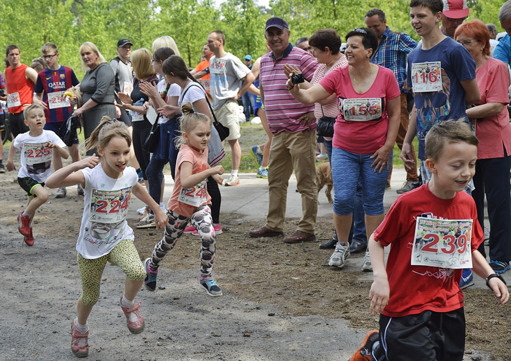 Ogrody kwitną z Nadleśnictwem Płońsk [FOTO]