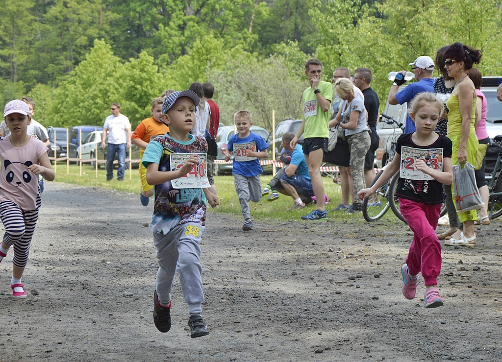 Ogrody kwitną z Nadleśnictwem Płońsk [FOTO]