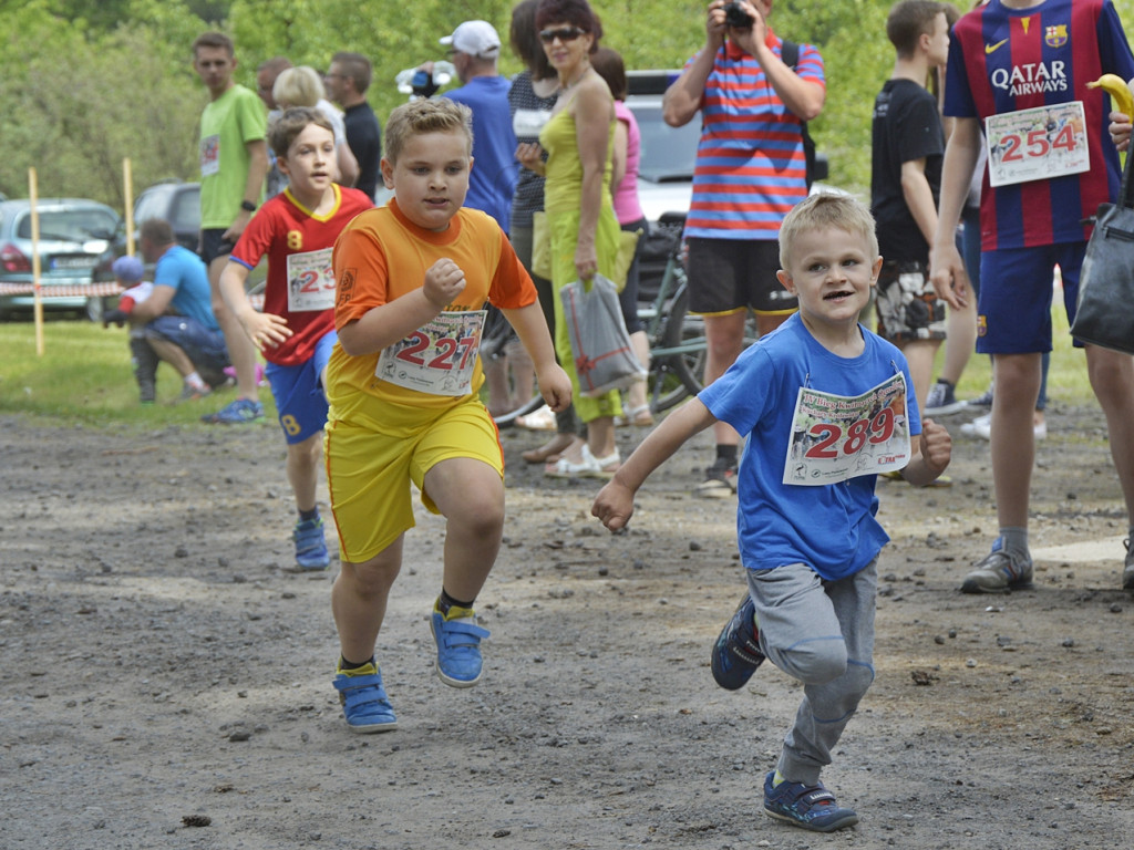 Ogrody kwitną z Nadleśnictwem Płońsk [FOTO]