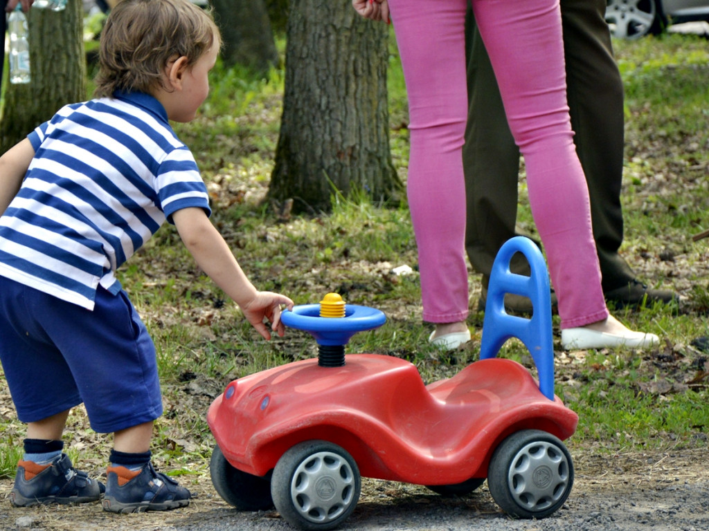 Ogrody kwitną z Nadleśnictwem Płońsk [FOTO]