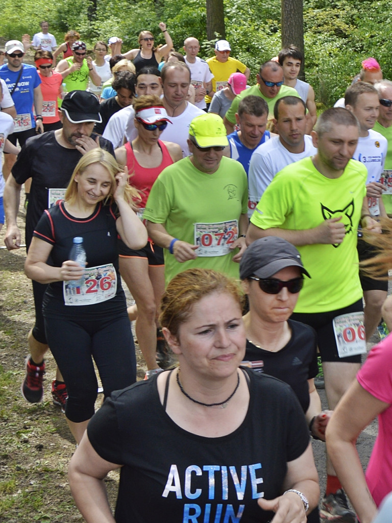 Ogrody kwitną z Nadleśnictwem Płońsk [FOTO]