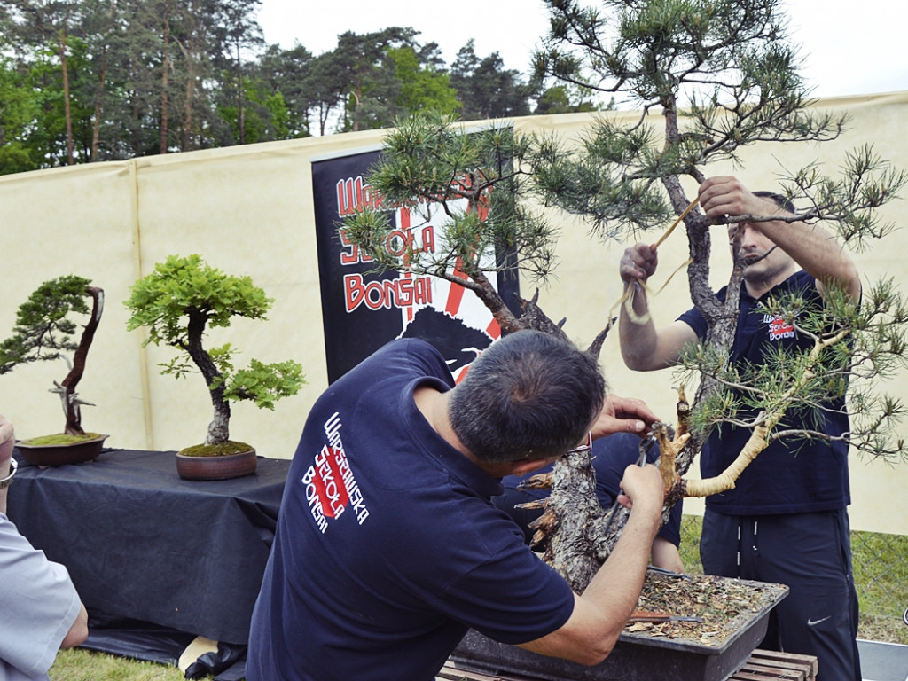 Ogrody kwitną z Nadleśnictwem Płońsk [FOTO]
