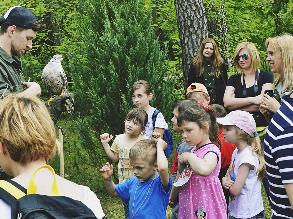 Ogrody kwitną z Nadleśnictwem Płońsk [FOTO]