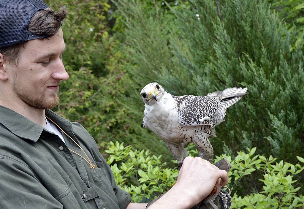 Ogrody kwitną z Nadleśnictwem Płońsk [FOTO]