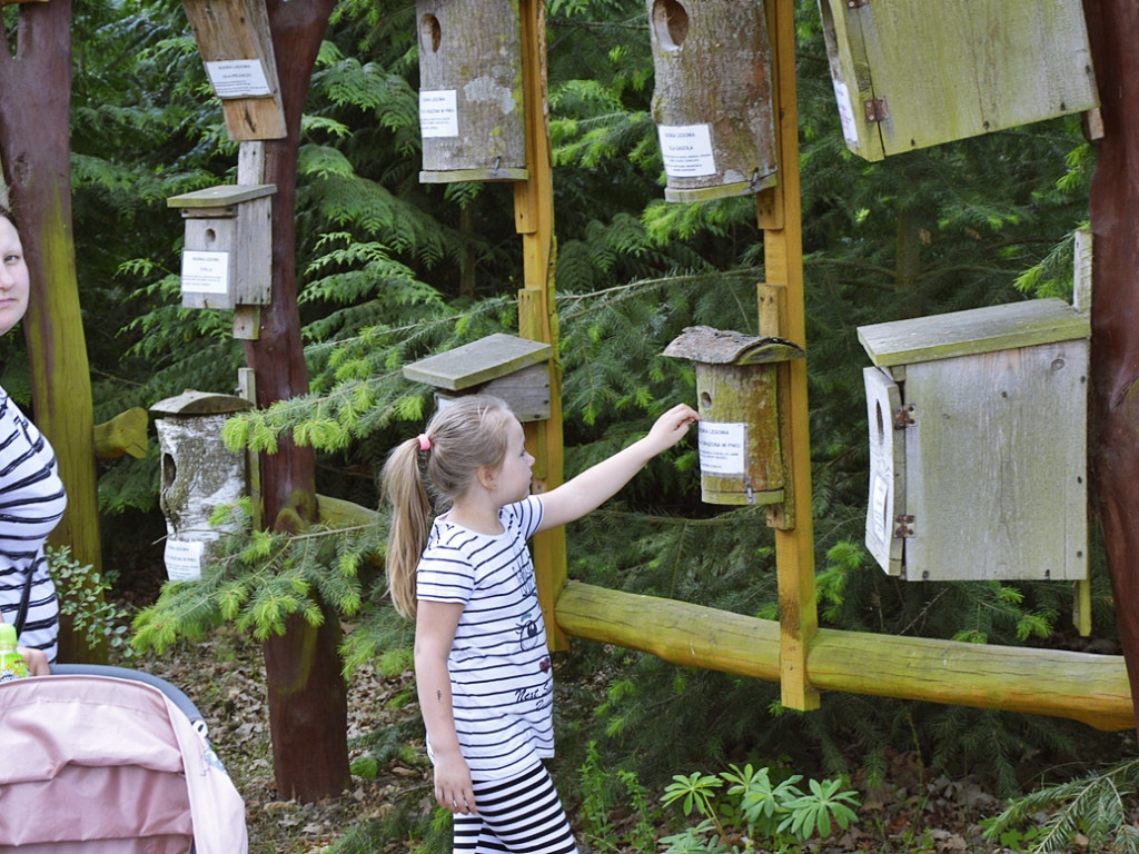 Ogrody kwitną z Nadleśnictwem Płońsk [FOTO]