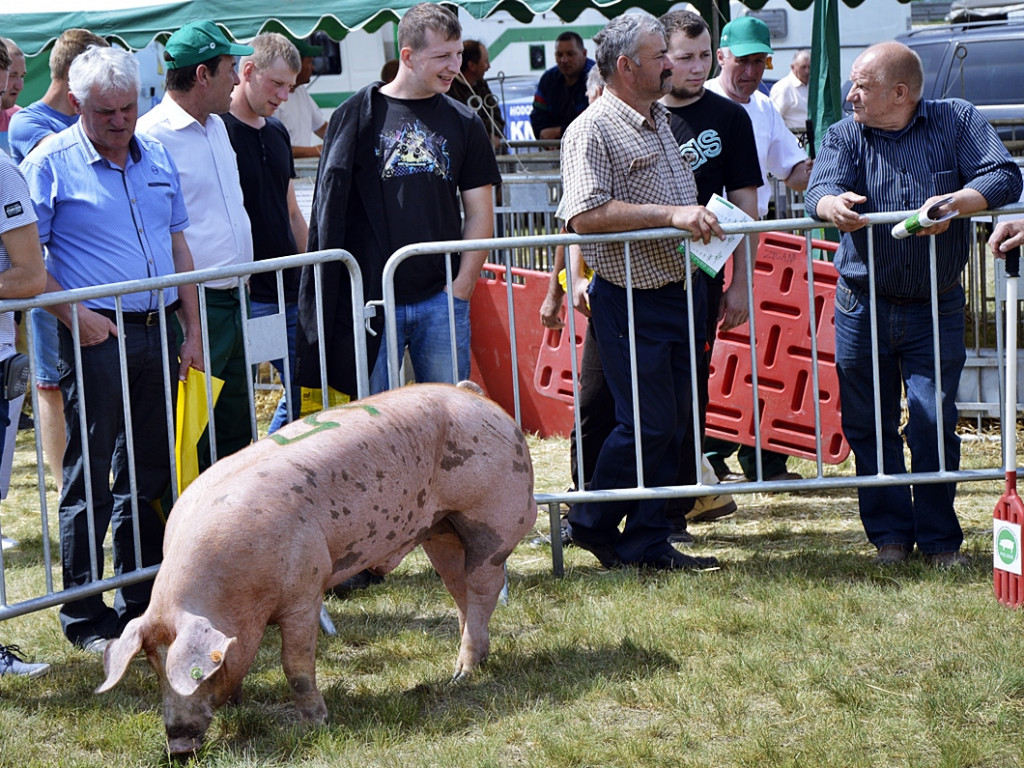 Poświętne gościło rolniczą brać [FOTO]