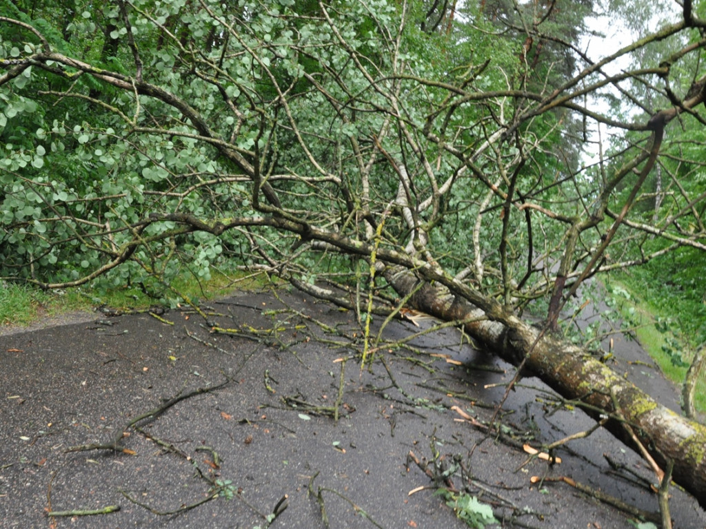 Opłakane skutki wichury w gminie Sochocin. Fatalna sytuacja w Smardzewie [FOTO]