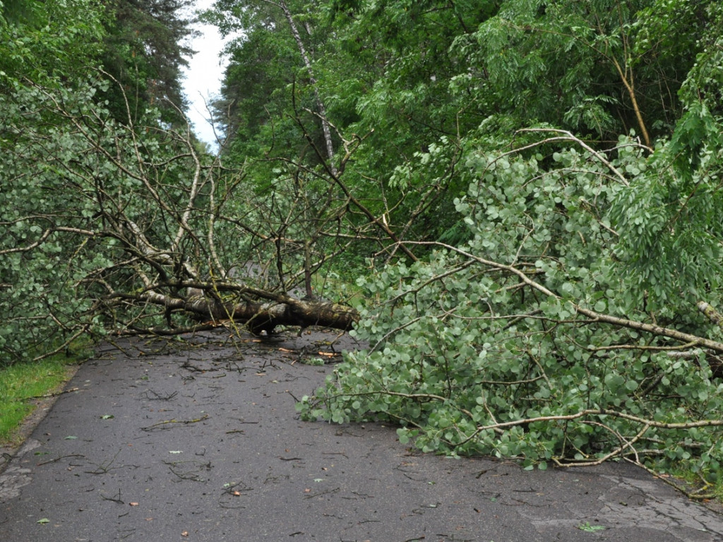 Opłakane skutki wichury w gminie Sochocin. Fatalna sytuacja w Smardzewie [FOTO]
