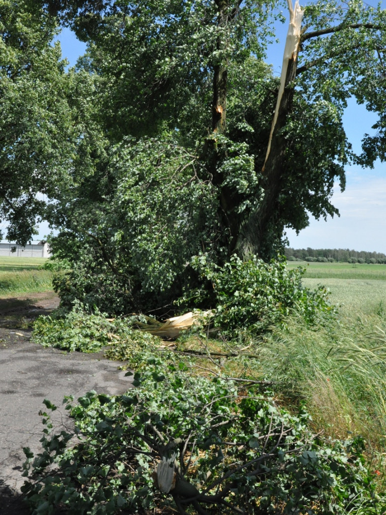 Opłakane skutki wichury w gminie Sochocin. Fatalna sytuacja w Smardzewie [FOTO]