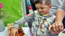 Czerwińska feta na zakończenie truskawkowych żniw [FOTO]