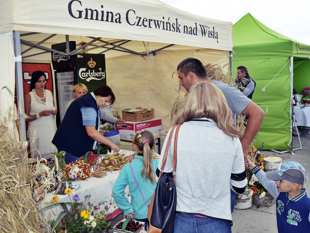 Czerwińska feta na zakończenie truskawkowych żniw [FOTO]