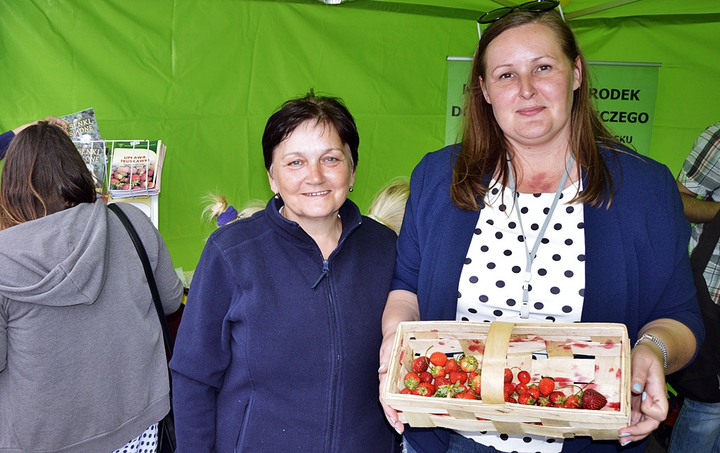 Czerwińska feta na zakończenie truskawkowych żniw [FOTO]