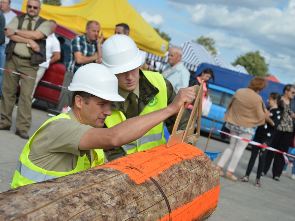 Cięli, rąbali, aż wióry leciały. Niecodzienne zawody w czerwińskiej gminie [FOTO]