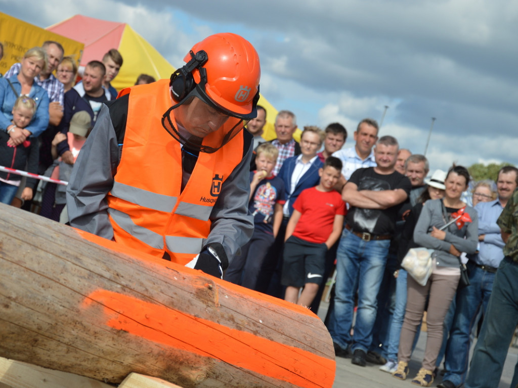 Cięli, rąbali, aż wióry leciały. Niecodzienne zawody w czerwińskiej gminie [FOTO]