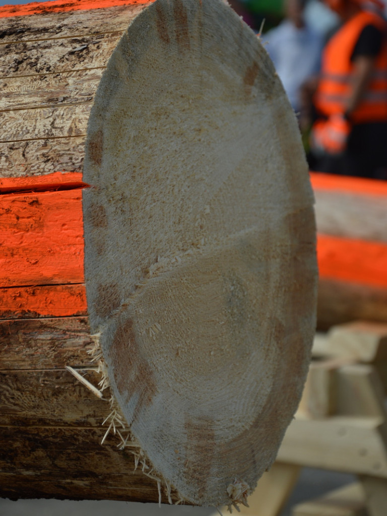 Cięli, rąbali, aż wióry leciały. Niecodzienne zawody w czerwińskiej gminie [FOTO]