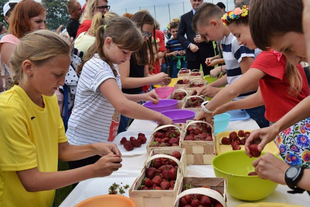 Truskawkowe święto w gminie Załuski [FOTORELACJA]