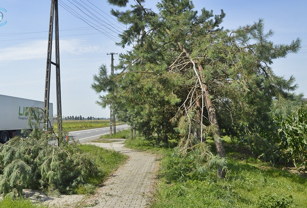 Żywioł uderzył w Dzierzążnię. Skala zniszczeń jest duża FOTORELACJA