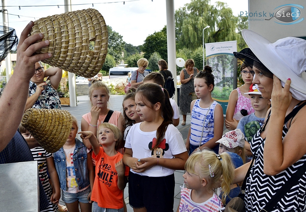 Miodzio:-) Specjalny dzień przydatnych owadów