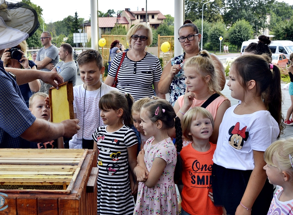 Miodzio:-) Specjalny dzień przydatnych owadów