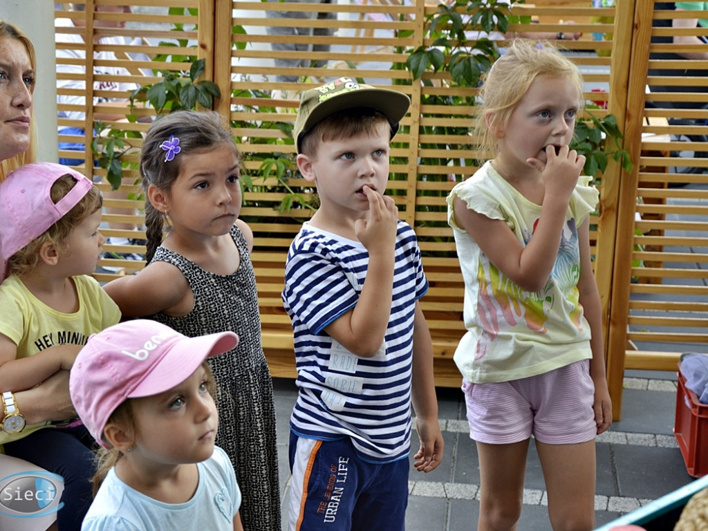 Miodzio:-) Specjalny dzień przydatnych owadów