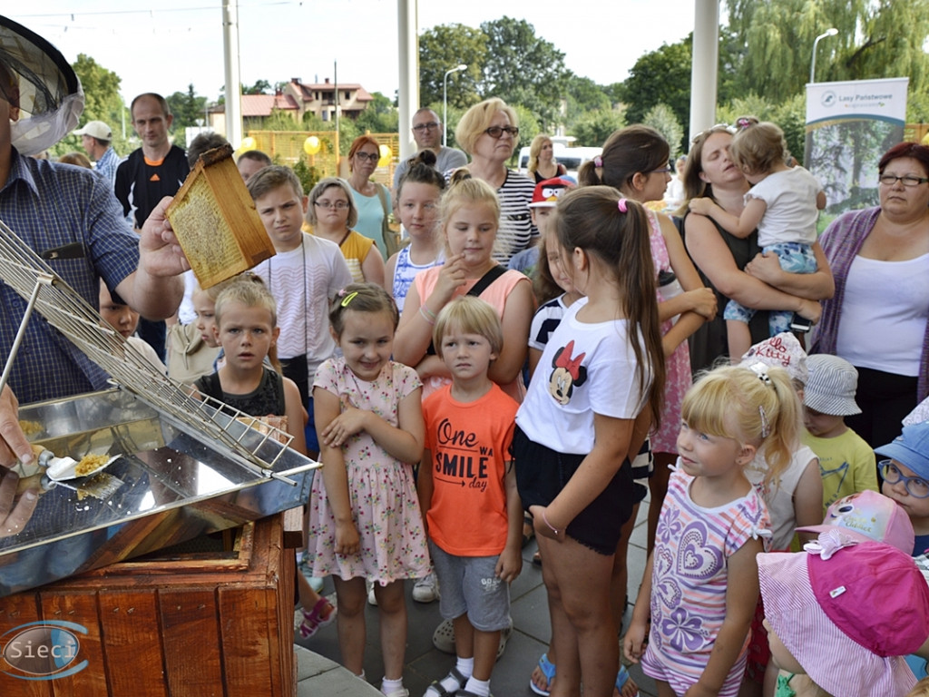 Miodzio:-) Specjalny dzień przydatnych owadów