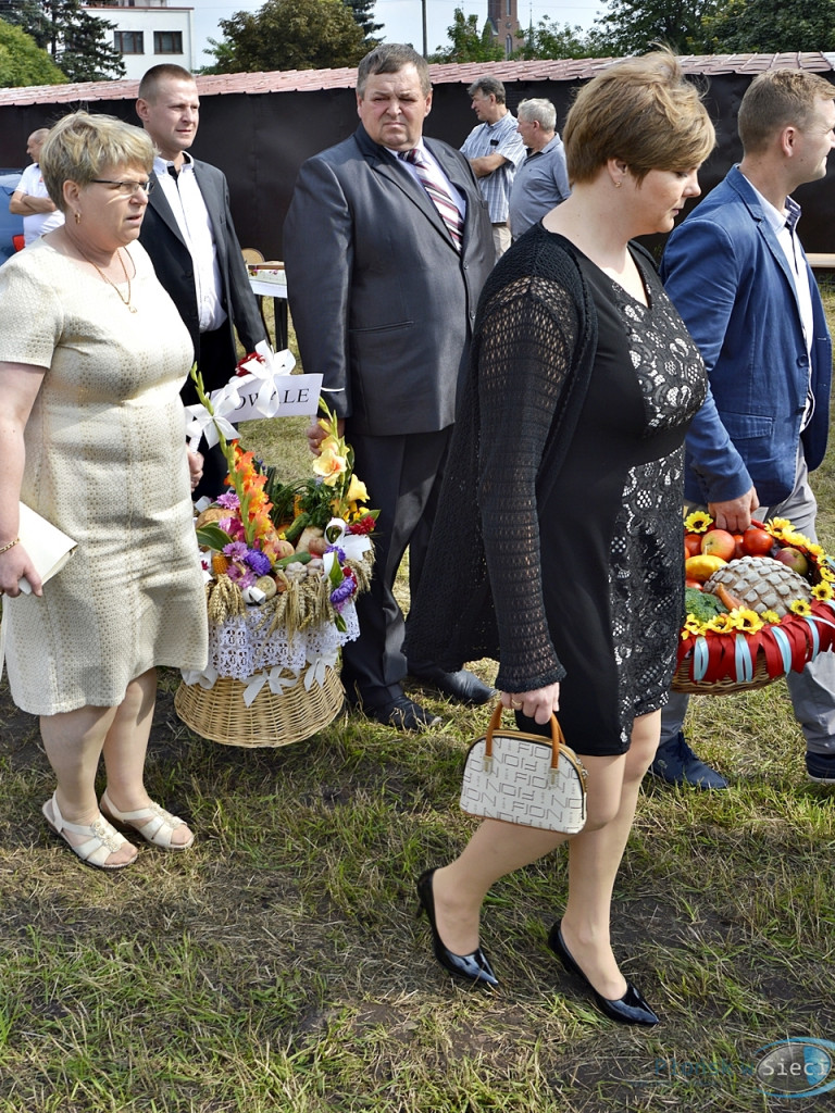 Święto dziękczynienia za plony w Baboszewie [FOTORELACJA]