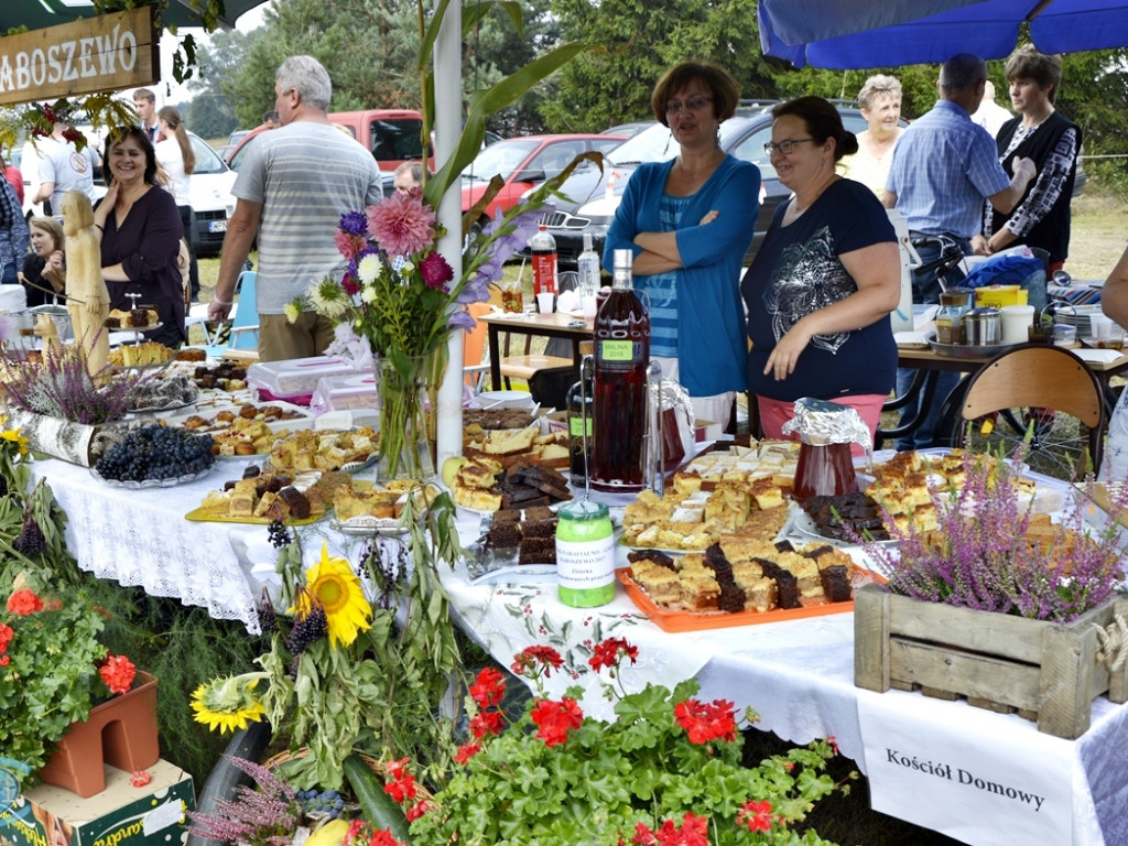 Święto dziękczynienia za plony w Baboszewie [FOTORELACJA]