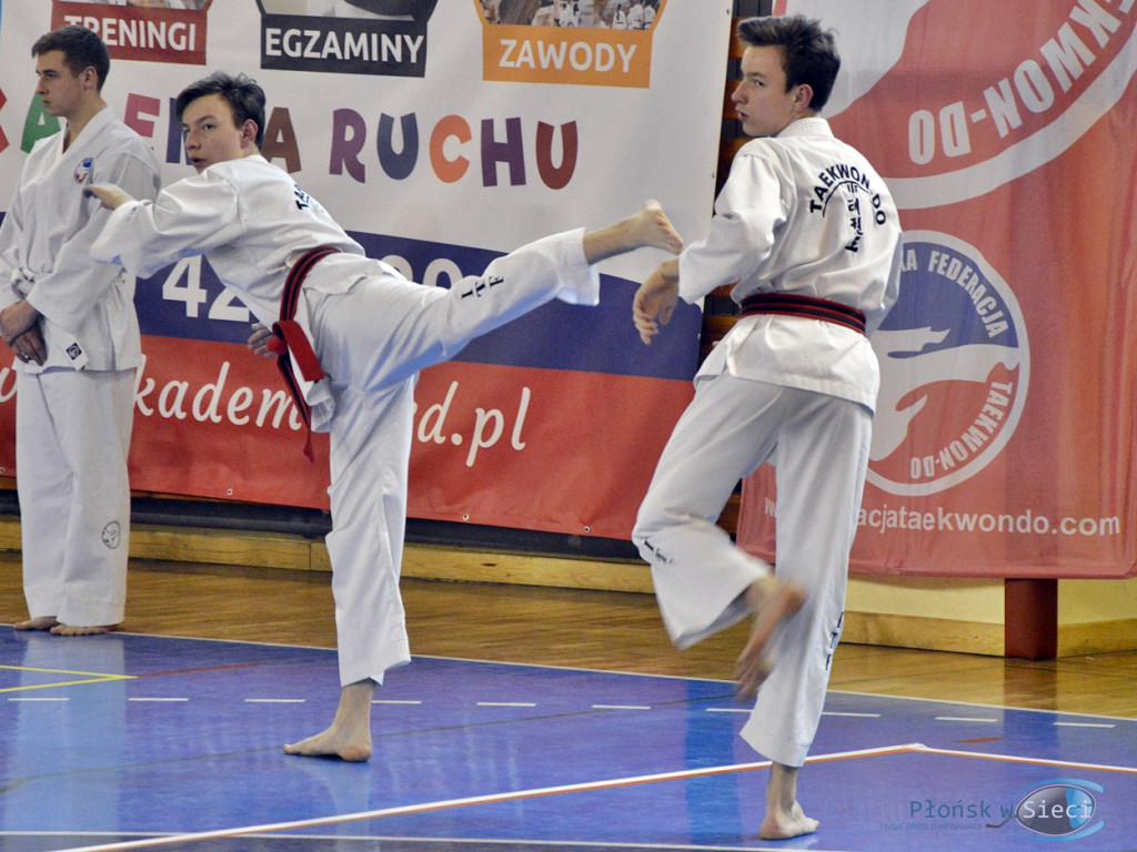 To trzeba było zobaczyć! Koreańska sztuka walki na parkiecie płońskiej hali [FOTORELACJA]