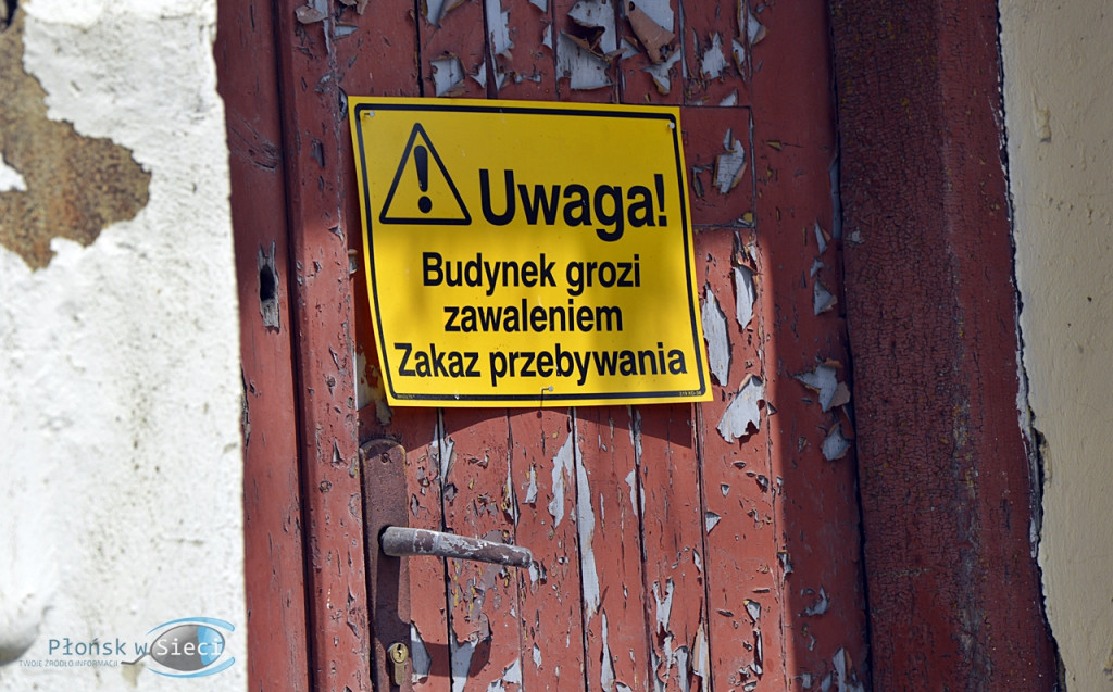 To jedyny lokator żyjący w tej ruinie