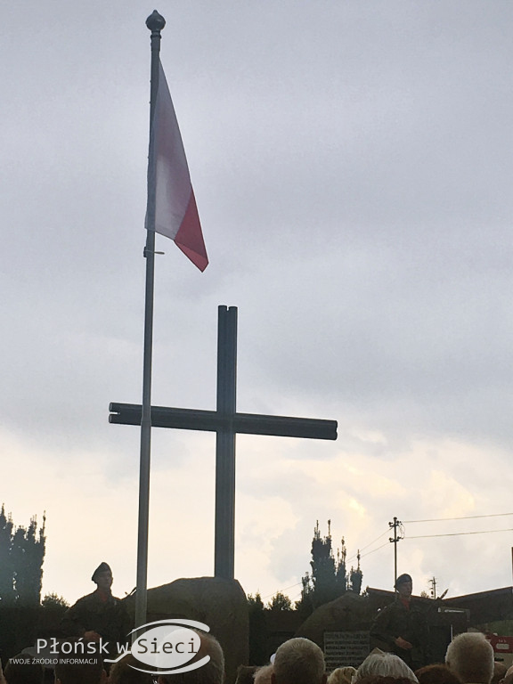  Inscenizacja walk nad Wkrą w Borkowie 2018