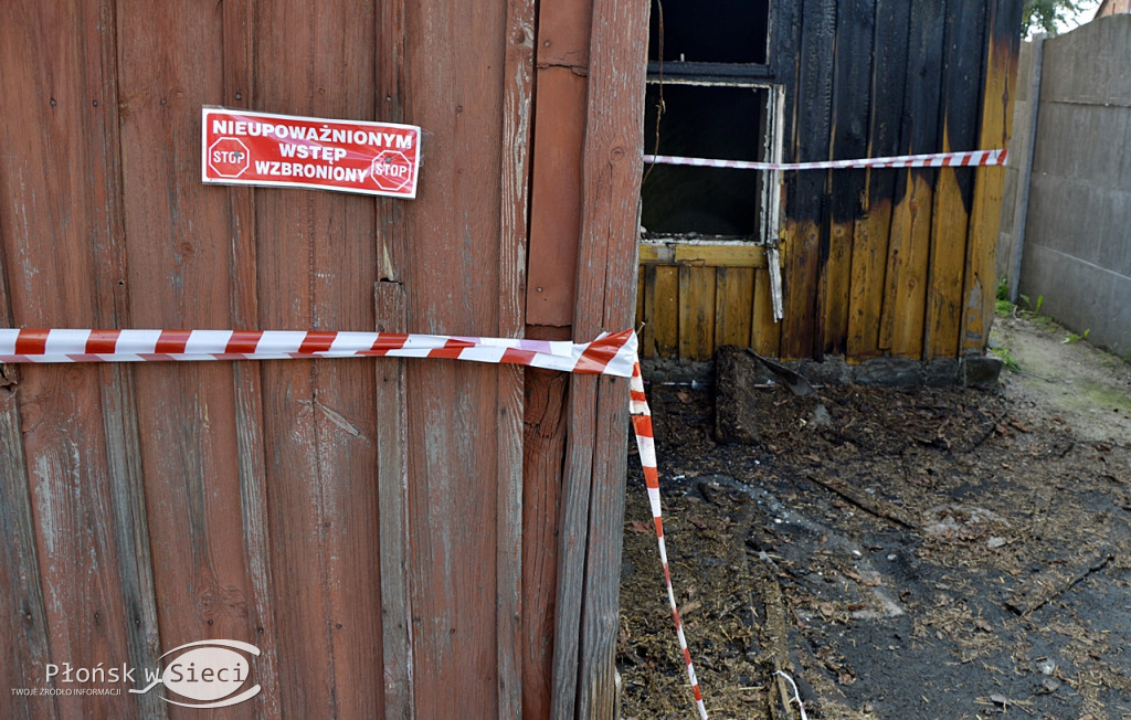 To oni uratowali życie Dominikowi z Baboszewa!