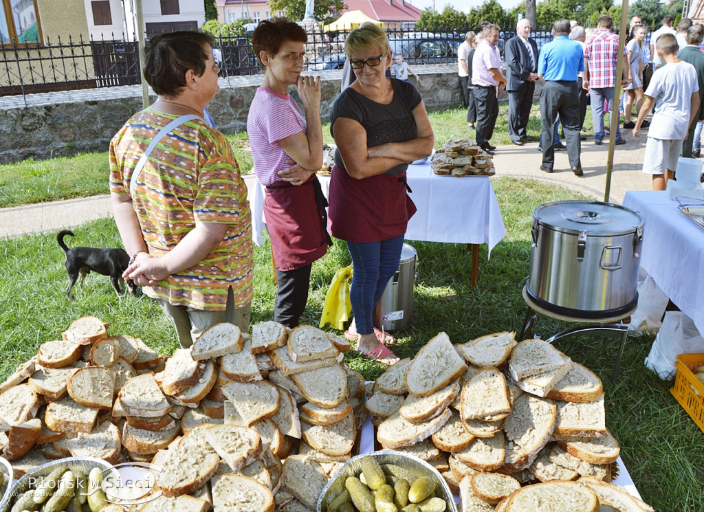 Dostatek chleba w gminie Nowe Miasto