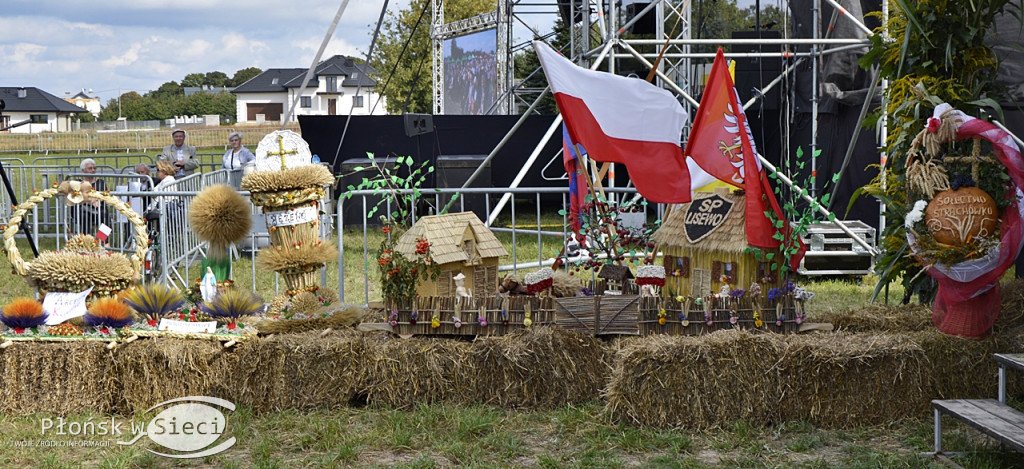 Płońskie dożynki - na scenie Lady Pank!